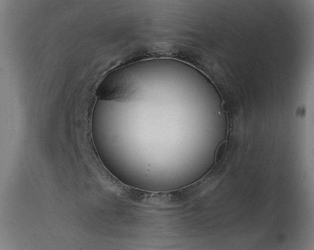 X0000114181201200910081451