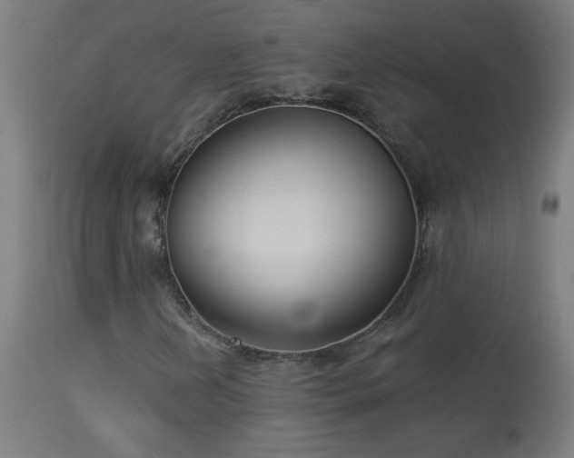X0000114181202200910081451