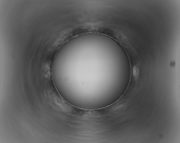X0000114181203200910081451