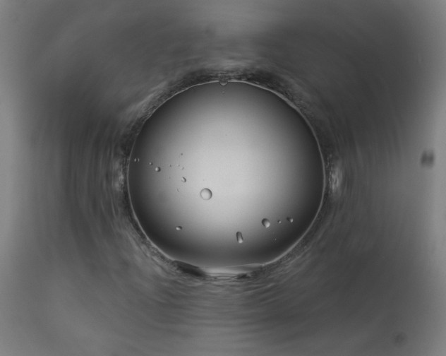 X0000114181204200910081451