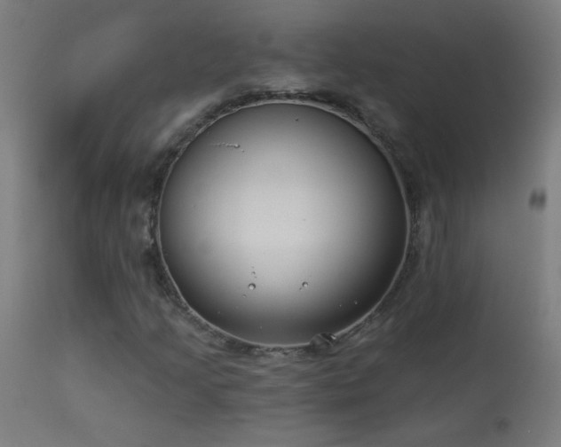 X0000114181205200910081451