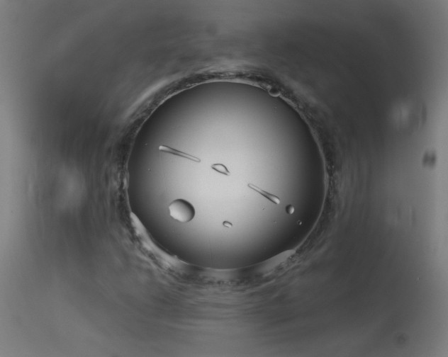X0000114181206200910081451