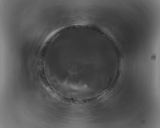 X0000114181208200910081451