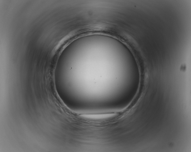 X0000114181210200910081451