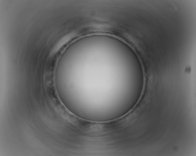 X0000114181211200910081451