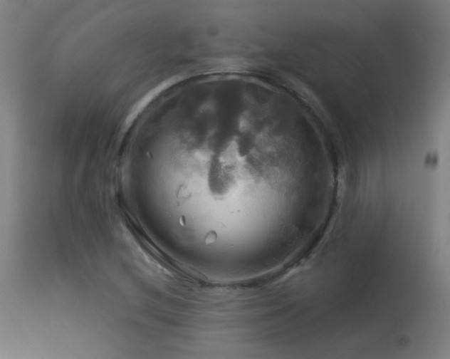 X0000114181212200910081451