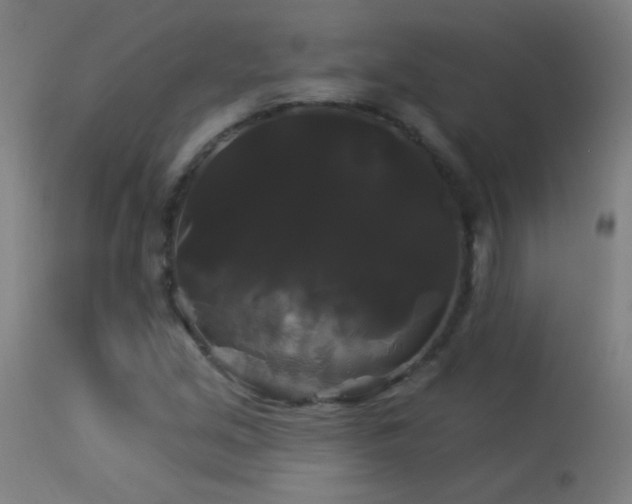 X0000114181213200910081451