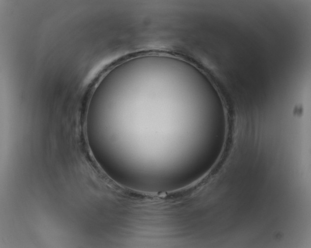 X0000114181214200910081451