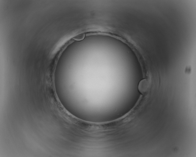 X0000114181215200910081451