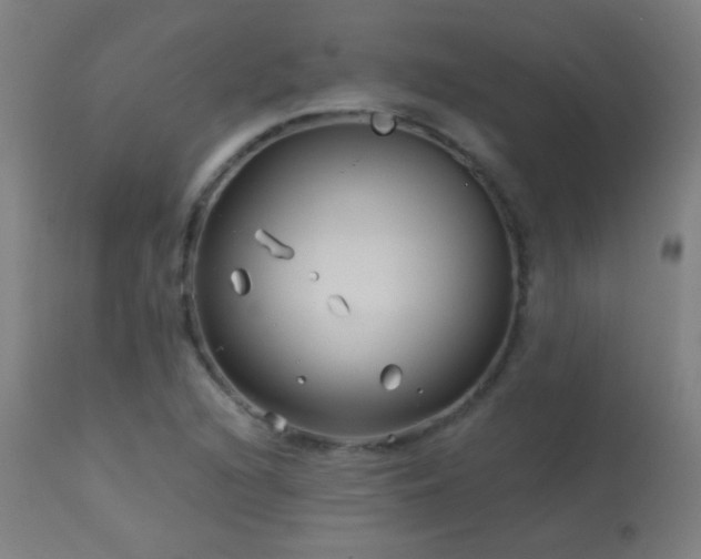 X0000114181216200910081451