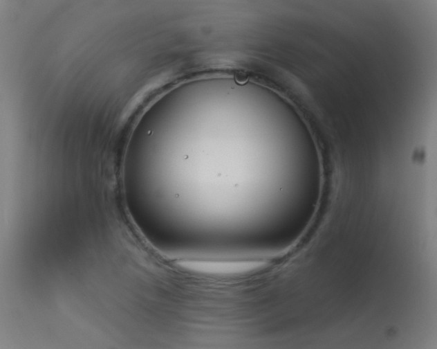 X0000114181218200910081451