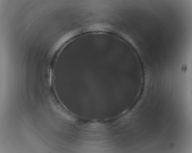 X0000114181219200910081451