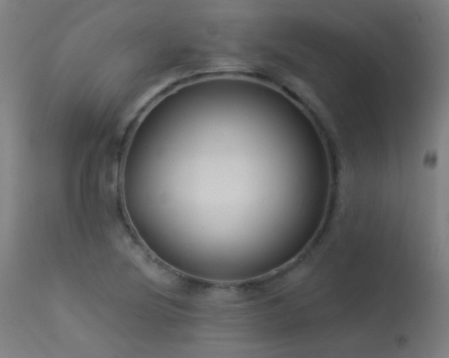 X0000114181220200910081451