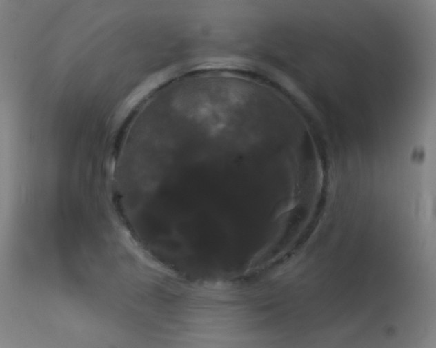 X0000114181221200910081451