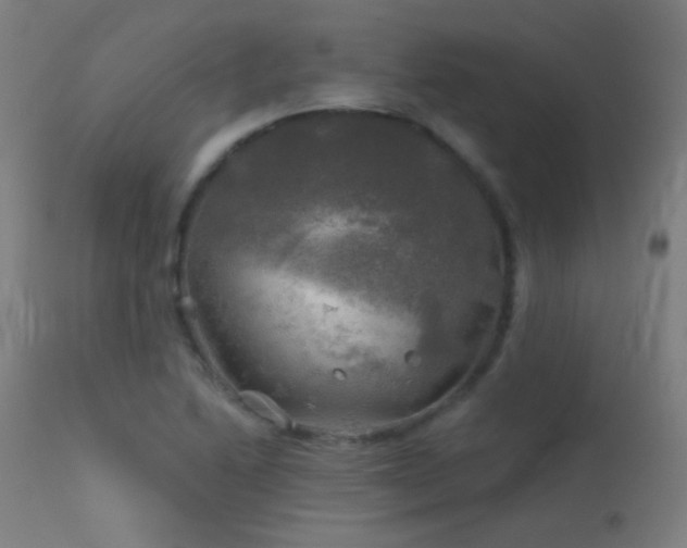 X0000114181222200910081451