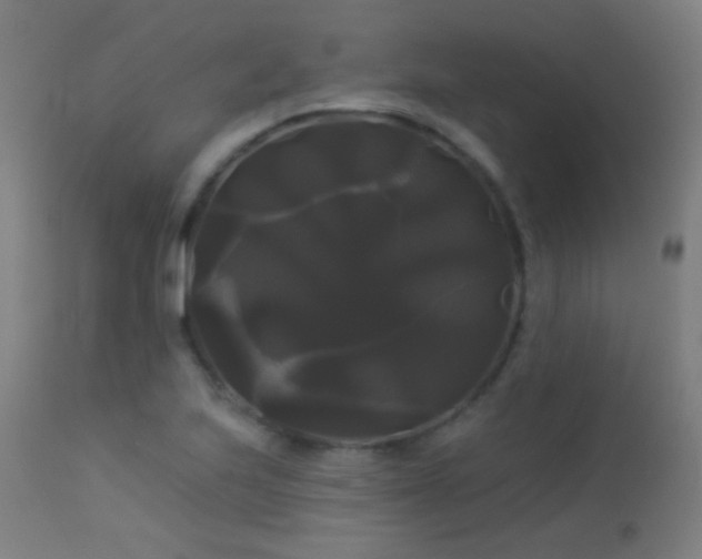 X0000114181223200910081451
