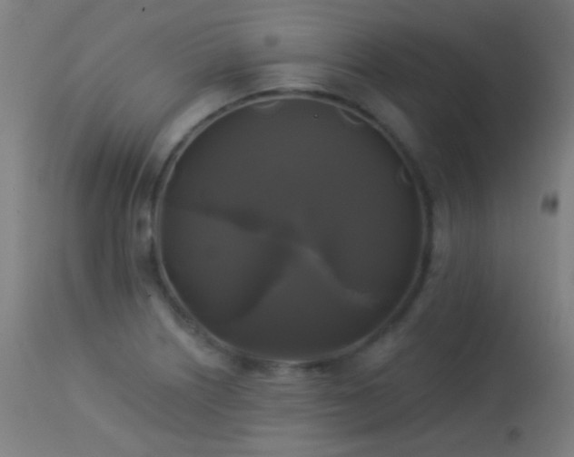 X0000114181226200910081451