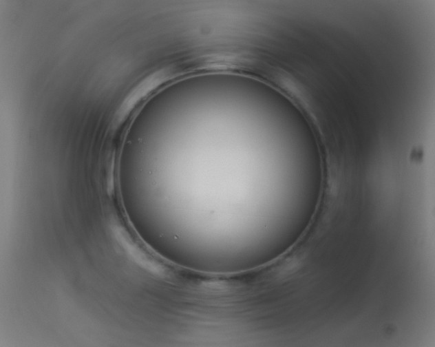 X0000114181227200910081451
