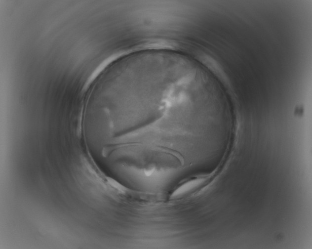 X0000114181228200910081451