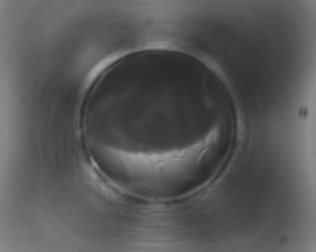 X0000114181230200910081451