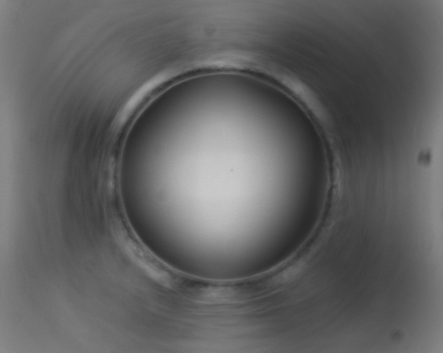 X0000114181232200910081451