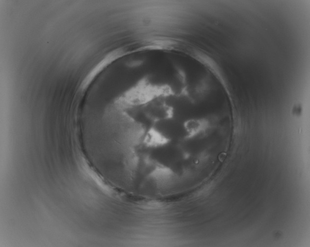 X0000114181235200910081451