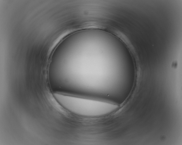 X0000114181236200910081452