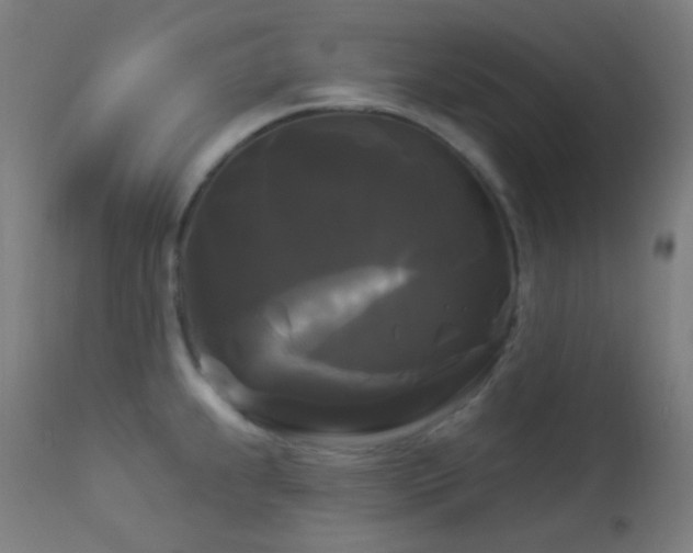 X0000114181239200910081452