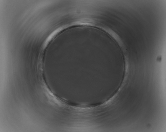 X0000114181240200910081452