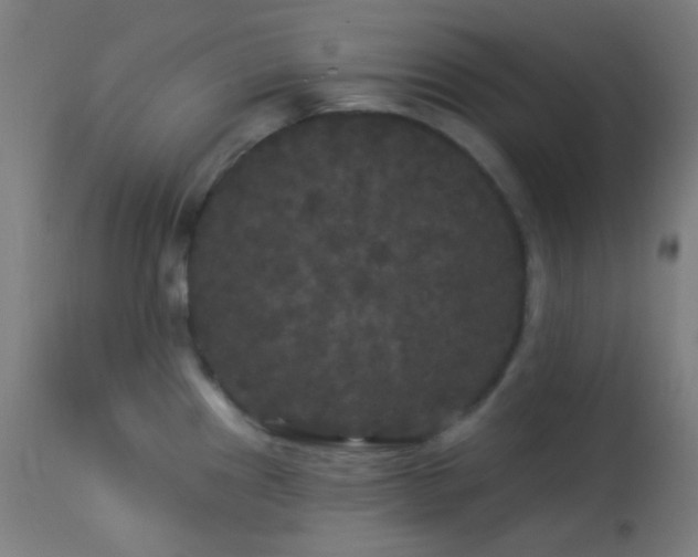 X0000114181241200910081452