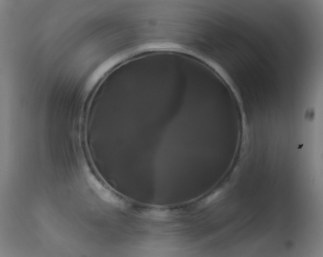 X0000114181245200910081452