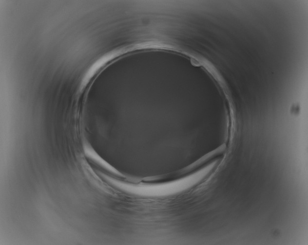X0000114181246200910081452