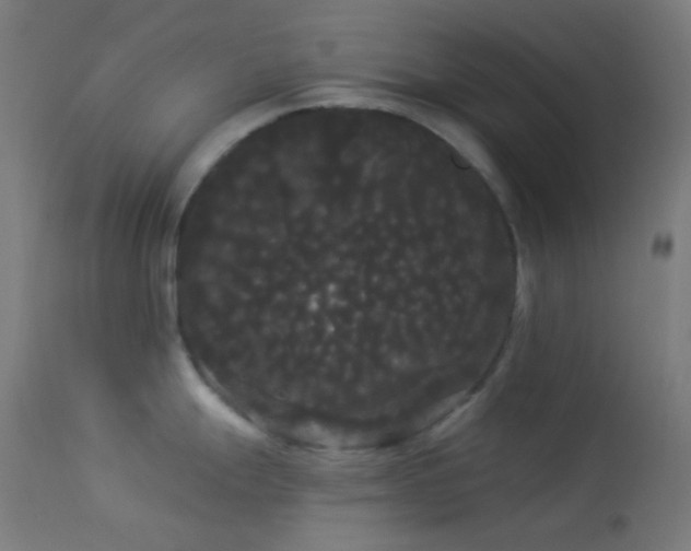 X0000114181247200910081452