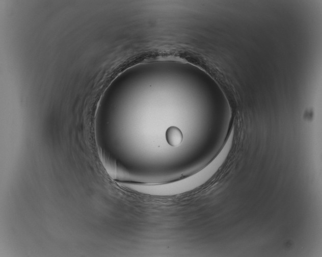 X0000114181249200910081451