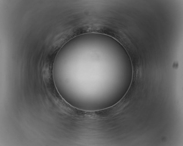 X0000114181250200910081451