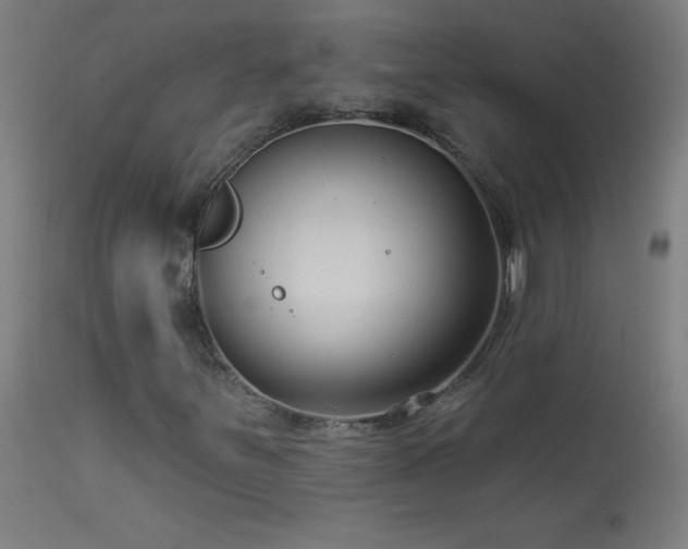 X0000114181251200910081451