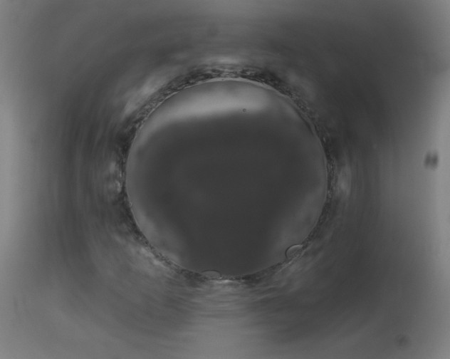 X0000114181253200910081451