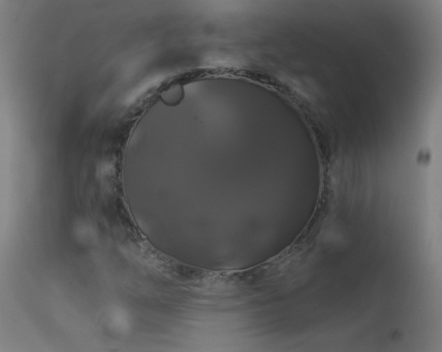 X0000114181254200910081451