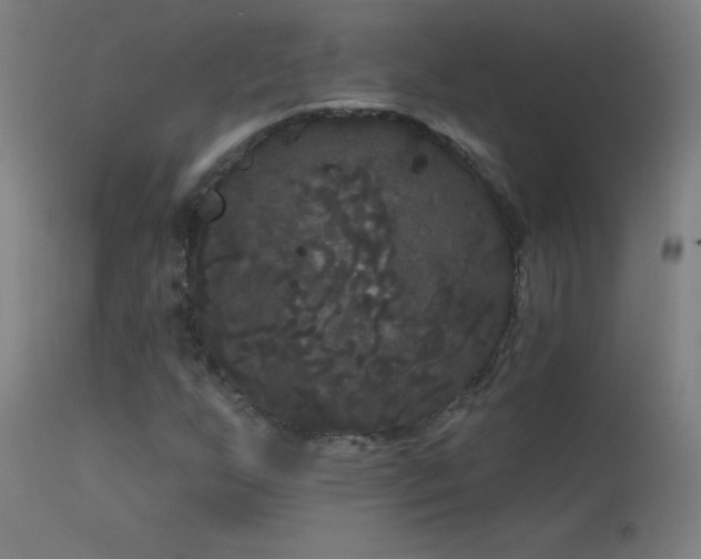 X0000114181255200910081451