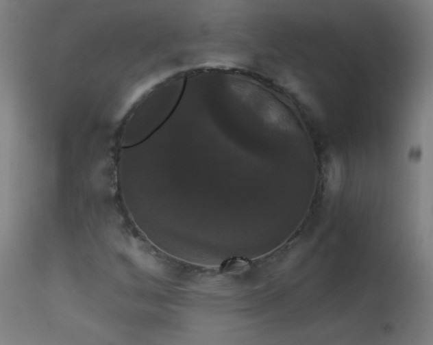 X0000114181256200910081451
