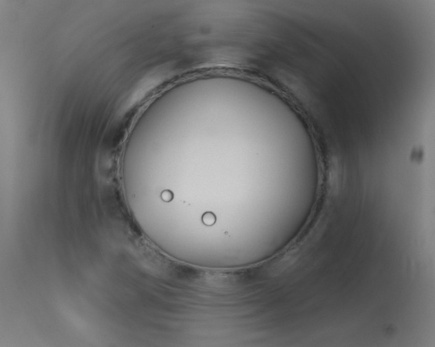 X0000114181258200910081451