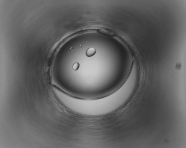 X0000114181260200910081451