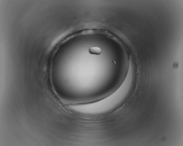 X0000114181261200910081451