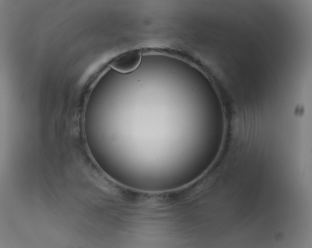 X0000114181262200910081451