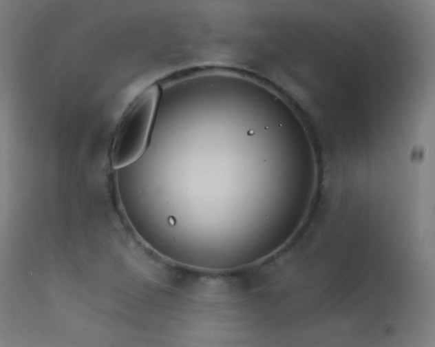 X0000114181264200910081451