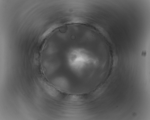 X0000114181266200910081451