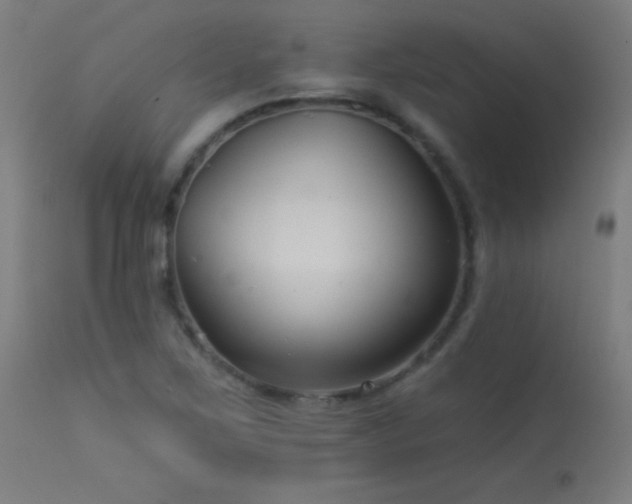 X0000114181267200910081451