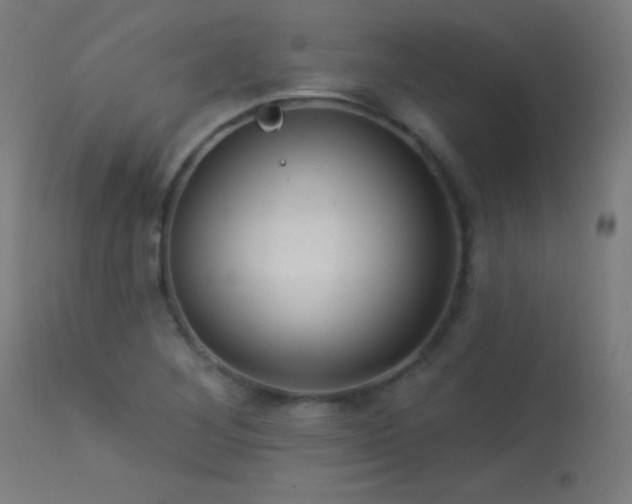 X0000114181268200910081451