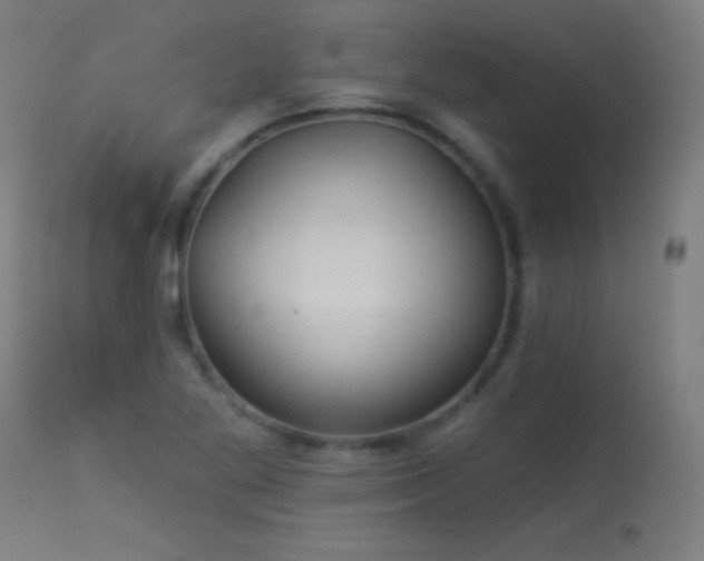 X0000114181269200910081450