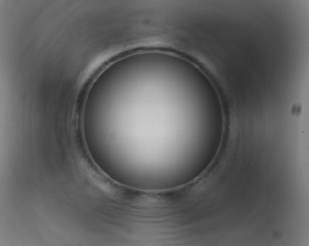 X0000114181270200910081450